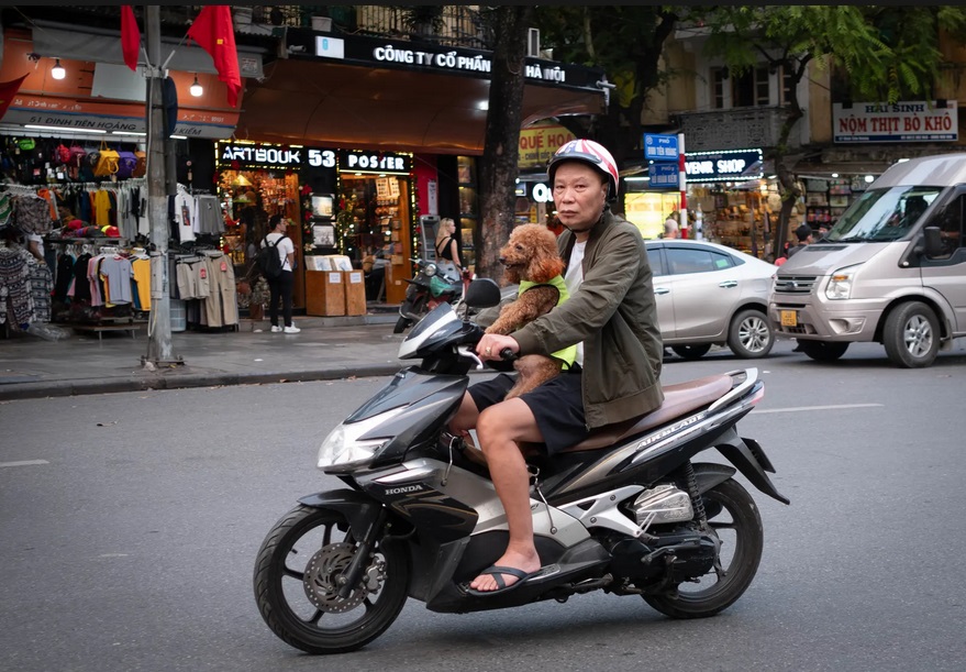 Phương tiện di chuyển chủ lực của mọi nhà. Ảnh: Internet