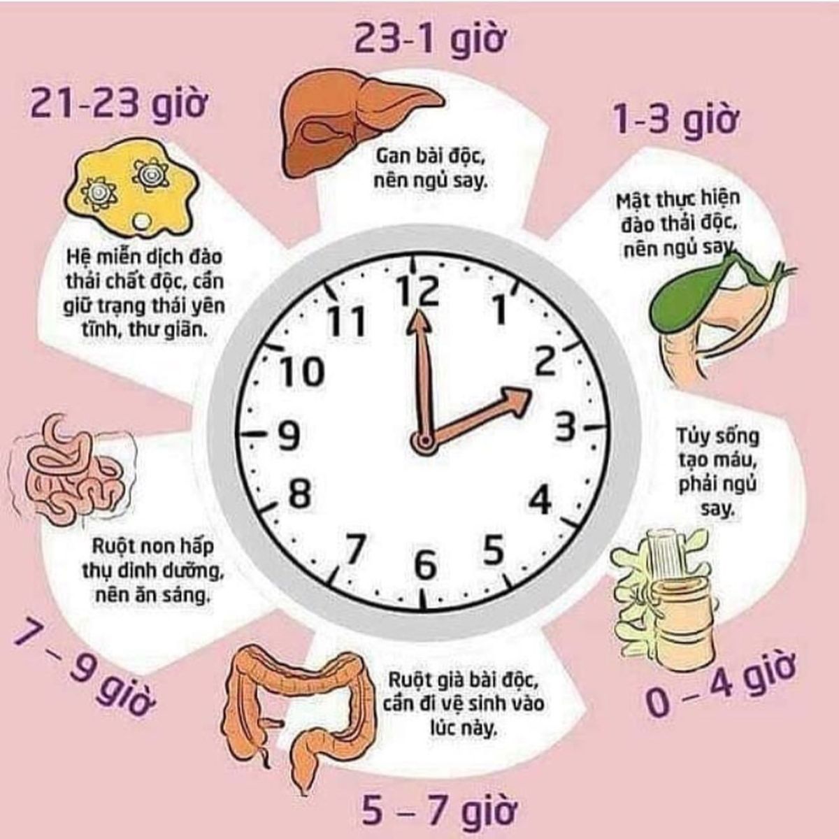 Ngủ đủ giấc sẽ giúp cơ thể khỏe mạnh hơn. Ảnh: Internet