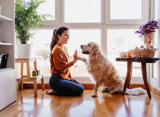 Phù hợp với lối sống độc lập, ít ràng buộc và linh hoạt. Ảnh: Internet