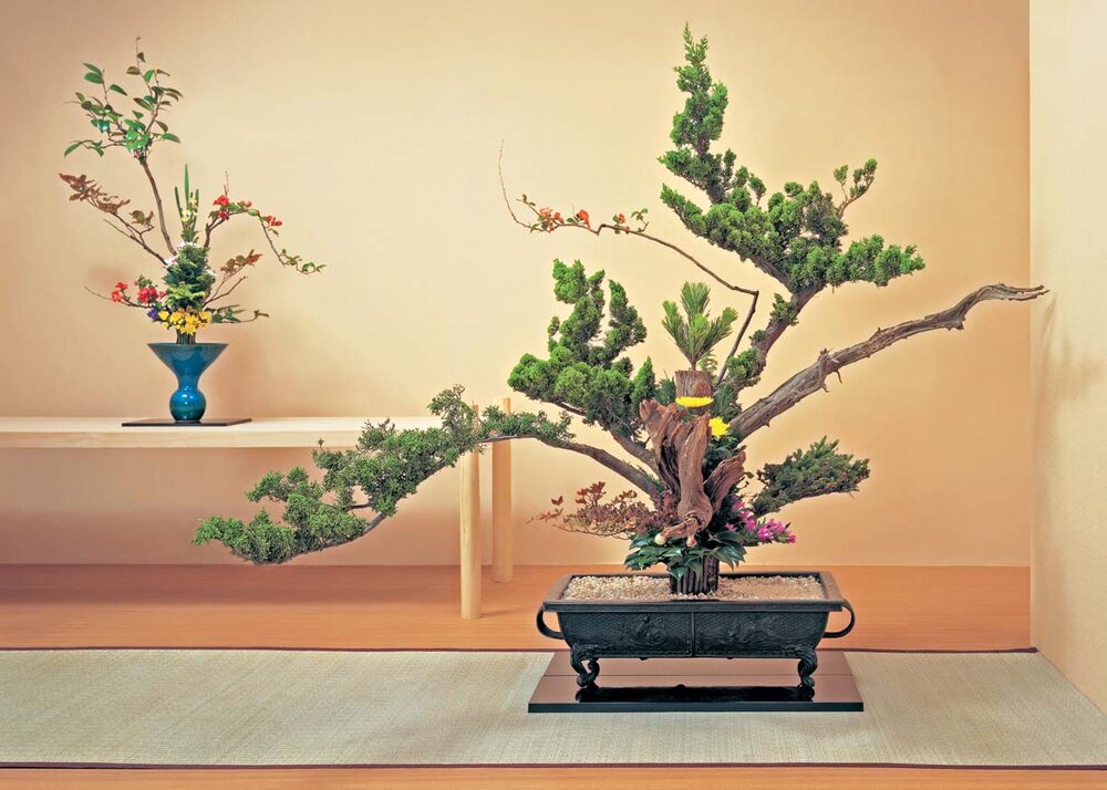 Ikebana không còn chỉ xuất hiện trong nghi lễ hay nghệ thuật truyền thống. Ảnh: Internet