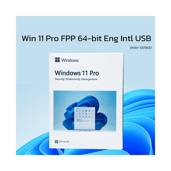 PHẦN MỀM WIN PRO FPP 11 64-BIT ENG INTL USB (HAV-00163)